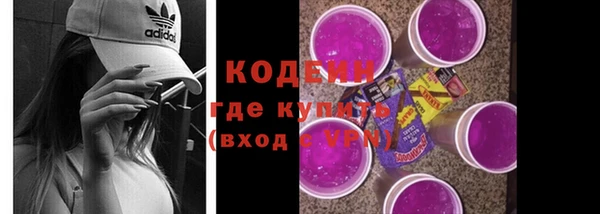 прущий лед Гусев