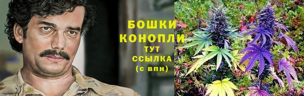 прущий лед Гусев