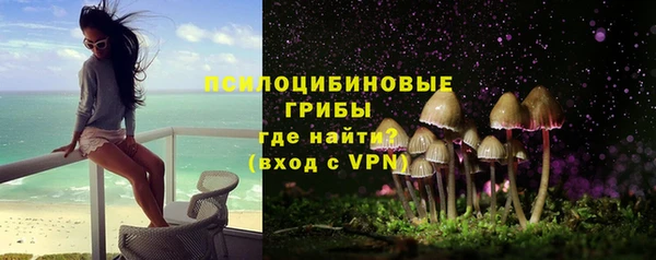 прущий лед Гусев